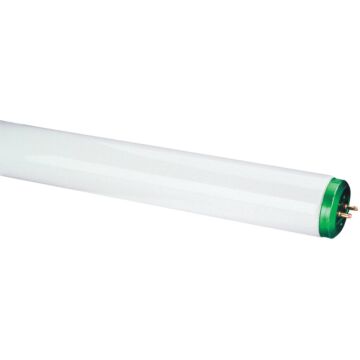 Philips Lighting Philips 20W 24 In. Daylight Deluxe T12 Bi-Pin Fluorescent Tube Light Bulb