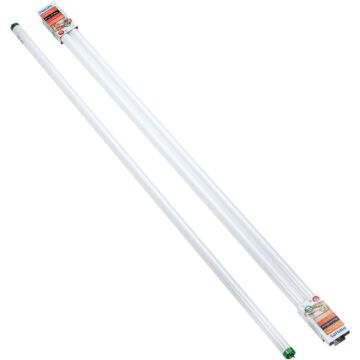 Philips Lighting Philips ALTO 32W 48 In. Bright White T8 Medium Bi-Pin Fluorescent Tube Light Bulb (2-Pack)