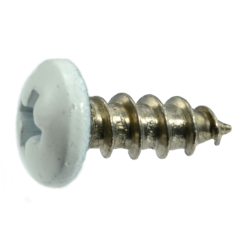 #10 x 1/2" Phillips Pan Head, Sheet Metal Screw, Stainless Steel, White 