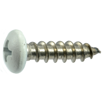 #10 x 3/4" Phillips Pan Head, Sheet Metal Screw, Stainless Steel, White 