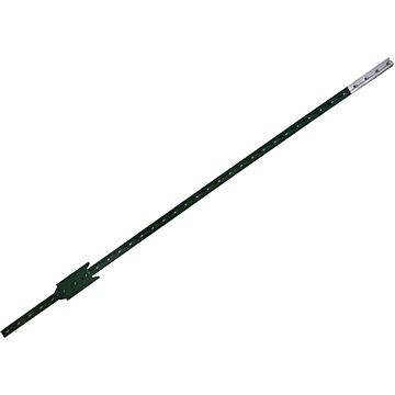 Steel T-Post (Green) 10 ft 