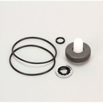 ACE PUMPS Repair Kit for 200 Series Motor with High Pressure Lip Seal