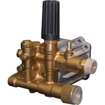 AR 3/4 in 22 mm 3000 psi horizontal plunger pump