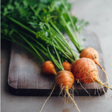 Rohrer Seeds Parisian Carrot Seeds