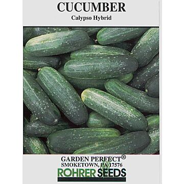 Rohrer Seeds 3-10 1/2 in 6 in Calypso Hybrid Cucumber Seeds