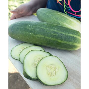 Rohrer Seeds 3-10 1/2 in 3-4 in Marketmore 76 Cucumber Seeds
