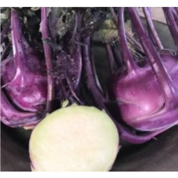Rohrer Seeds Purple Vienna Kohlrabi Seeds