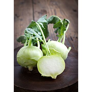 Rohrer Seeds 10-12 1/4 in 2-3 in White Vienna Kohlrabi Seeds
