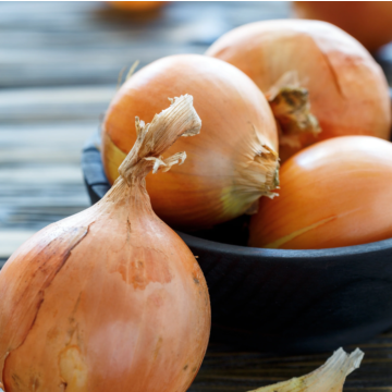 Rohrer Seeds Yellow Sweet Spanish Onion Seeds
