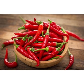 Rohrer Seeds 14-28 1/4 in 6 in Long Red Cayenne Pepper Seeds