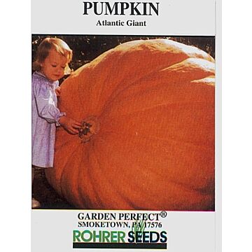 Rohrer Seeds ATLANTIC GIANT PUMPKIN