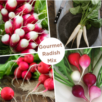 Rohrer Seeds Radish Gourmet Seed Mixture