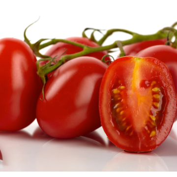 Rohrer Seeds Roma VF Tomato Seeds