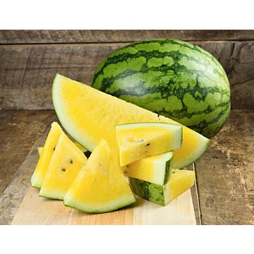 Rohrer Seeds 7-10 1 in 12-18 in Yellow Baby Doll Watermelon Seeds