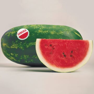 Rohrer Seeds 7-10 1 in 60-84 in Sangria Watermelon Seeds