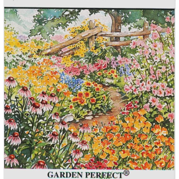 Rohrer Seeds Northeastern Wildflower Seed Mix