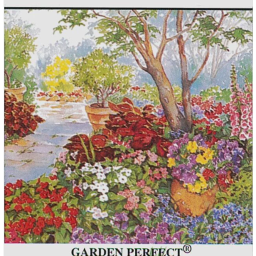 Rohrer Seeds Shade Flower Seed Mix