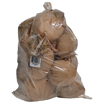 Rohrer Seeds 5 lb Eva Seed Potatoes