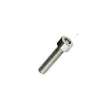 Brighton-Best 5/16 in-18 1/2 in 18-8 SS Socket Cap Screw