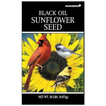 Black Oil Sunflower Seed 20 LB