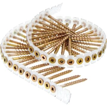 Senco DuraSpin Square Recess Flat Collated Wood Screws (Yellow Zinc - 1000pk) #8 x 2 in.