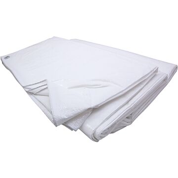 White Tarp