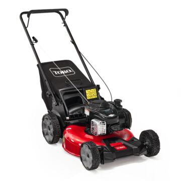 Toro Recycler Push Gas Lawn Mower - 21 in.