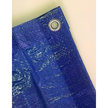 Blue Tarp