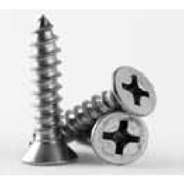 SS Flat Torx Tek Screw - #12 x 2-1/2 in.
