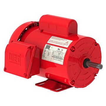 WEG 115/230 V 1 hp 1800 rpm Motor