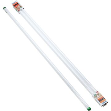 Philips ALTO 32W 48 In. Bright White T8 Medium Bi-Pin Fluorescent Tube Light Bulb (2-Pack)
