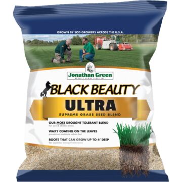 Jonathan Green Black Beauty Ultra 1 Lb. 200 Sq. Ft. Coverage Tall Fescue Grass Seed
