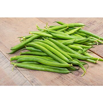 Bush Strike Bean Seeds