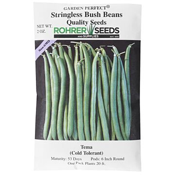 Bush Tema Bean Seeds