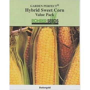 Buttergold Yellow Sweet Corn Seeds