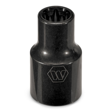 1/4" Drive Standard Torx® Socket - E-8