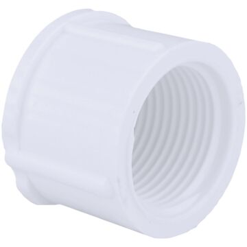 Schedule 40 Threaded PVC Cap