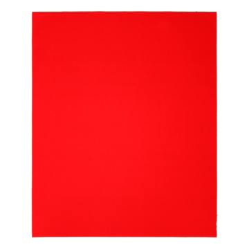 9 in. x 11 in. Sanding Sheets 100 Grit (4-Pack)