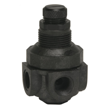 1/4 In Miniature Plastic Water Pressure Regulator, Npt Female, Acetal Plug, 0-25 psi, Gauge Port/90Degree Inlet To Outlet