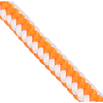 Arbor Line (Orange/White)