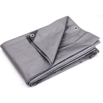 Silver Tarp