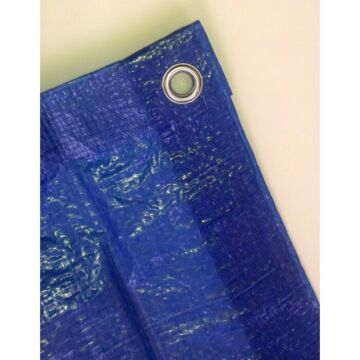 Blue Tarp