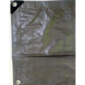 Silver Tarp