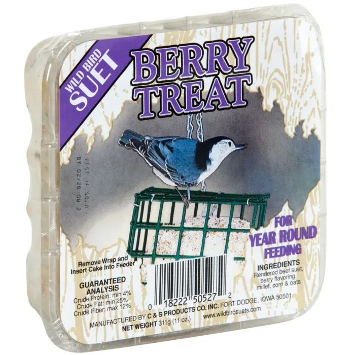 C&S Berry Treat Wild Bird Suet - 11 oz