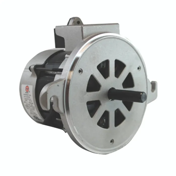 PEMS 115 V 1.7 A 1/7 hp Motor
