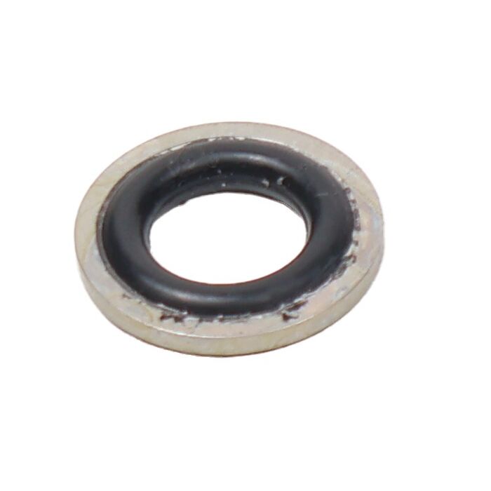 ACE PUMPS 5/16" Impeller Sealing Washer