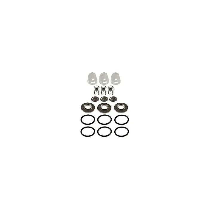 Cat Pumps Pressure Washer Valve Kit