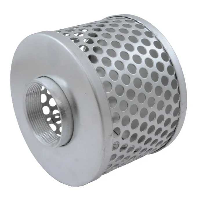 Jason Megadyne 2 in NPSM Connection Type Steel Round Hole Suction Strainer