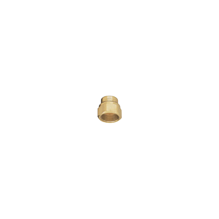 TeeJet Brass Nozzle Body Adapter - 1/4 in. FNPT