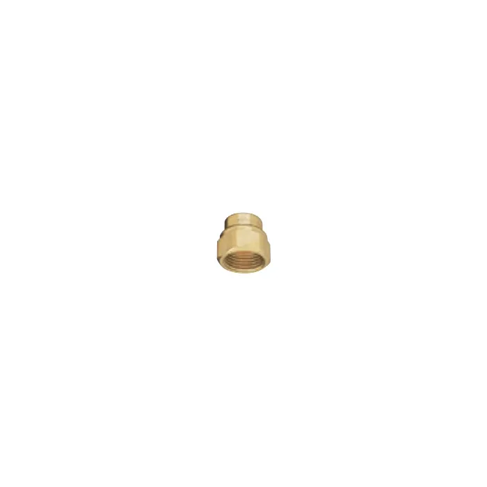 TeeJet Brass Nozzle Body Adapter - 1/4 in. FNPT